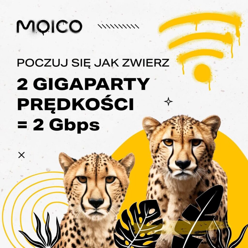 Zdjęcie przedstawia baner z hasłem: poczuj się jak zwierz 2 gigapakiety prędkości. Na grafice widoczne dwa tygrysy. Internet we Wrocławiu Krzyki