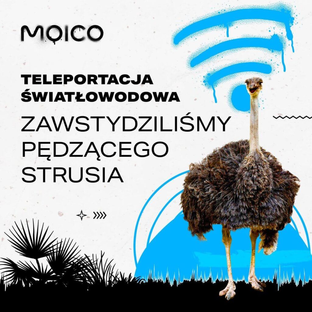 Zdjęcie przedstawia baner z hasłem: teleportacja światłowodowa - zawstydziliśmy pędzącego strusia. Na grafice widoczny pędzący struś. Internet Wrocław Krzyki