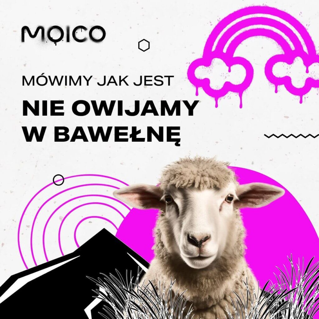 Zdjęcie przedstawia baner z hasłem: Mówimy jak jest, nie owijamy w bawełnę. Na grafice przedstawiona owca. Internet we Wrocławiu Stare Miasto.