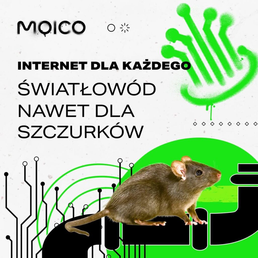 Zdjęcie przedstawia baner z napisem: Internet dla każdego, światłowód nawet dla szczurków. Na grafice widnieje szczur. Internet Wrocław Powstańców Śląskich.