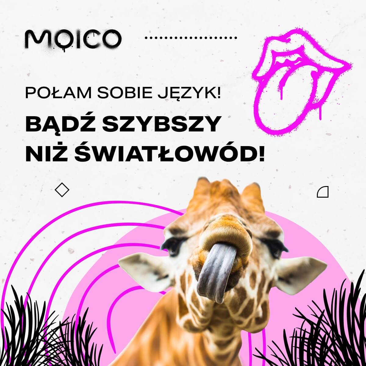 Obraz przedstawia reklamę firmy Moico. Hasło główne brzmi: ,,POŁAM SOBIE JĘZYK! BĄDŹ SZYBSZY NIŻ ŚWIATŁOWÓD!''. W tle widać żyrafę z wystawionym językiem. Tło jest białe z abstrakcyjnymi różowymi i czarnymi wzorami, w tym stylizowanym rysunkiem języka.