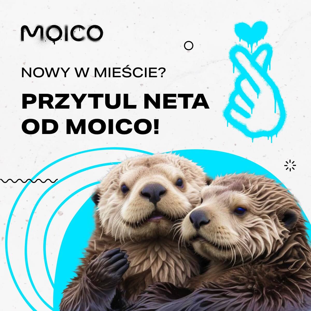 Zdjęcie poglądowe przedstawiające zespół Moico