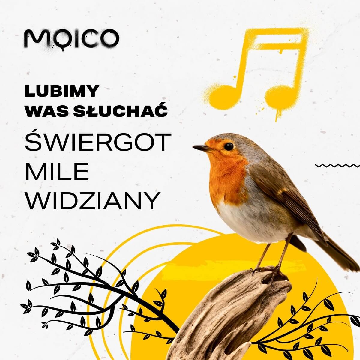 Zdjęcie przedstawia reklamę w stylu graficznym, z dominującymi kolorami żółtym i szarym. W centrum kompozycji znajduje się ptak (rudzik), siedzący na kawałku drewna. Po lewej stronie, na białym, chropowatym tle, widnieje logo marki „MOICO” oraz hasło w języku polskim: „LUBIMY WAS SŁUCHAĆ ŚWIERGOT MILE WIDZIANY”. Napisy są w czarnej, pogrubionej czcionce. W górnej części zdjęcia widoczny jest żółty, graficzny symbol nuty, a w dolnej części, również w tym samym kolorze, koła, słońce i gałązki z listkami. Całość kompozycji, łącząca obraz ptaka z motywem dźwiękowym i hasłem, sugeruje, że reklama odnosi się do usług związanych z komunikacją.